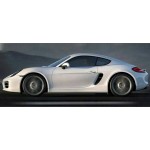 WINTER WHEELS FOR PORSCHE CAYMAN (2013-) TYPE 981