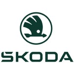Winter Wheels and Winter Tyres for Skoda