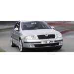 Skoda Octavia Winter Wheels and Winter Tyres