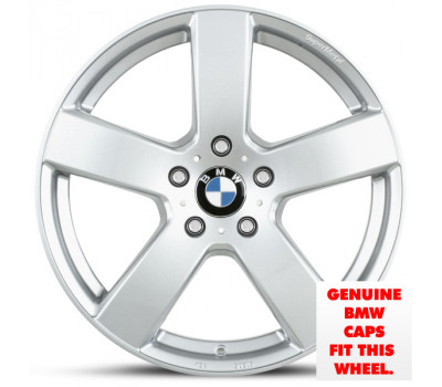 18" Winter Alloy Wheel